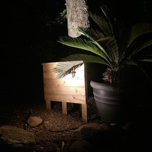 Landscape Lighting