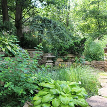 bog garden