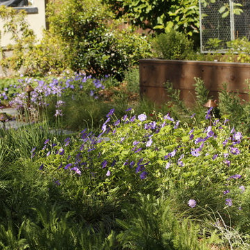 PETITE WILD MEADOW