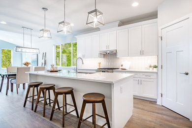 Del Loma Dr Campbell- Complete home renovation