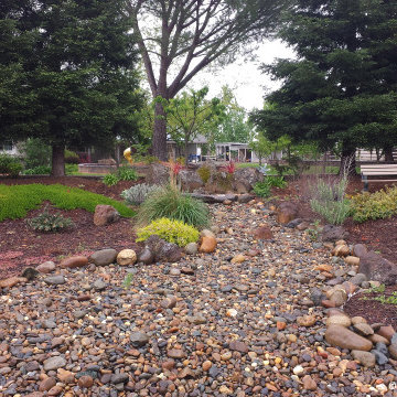 Dry Stream