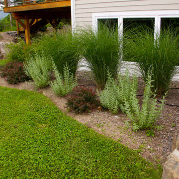 Deer Resistant Gardens