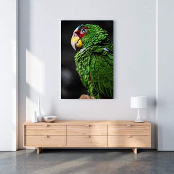 Green Parrot Cute Funny Animal Macro Photography, 8"x10", Canvas Print