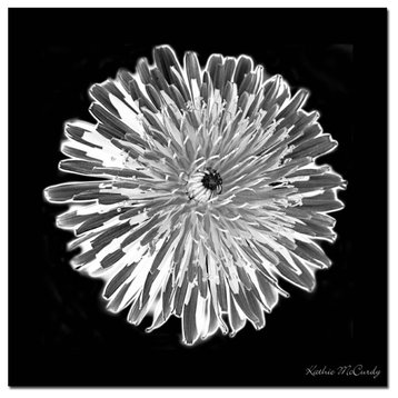 'Dandelion Black & White' Canvas Art by Kathie McCurdy