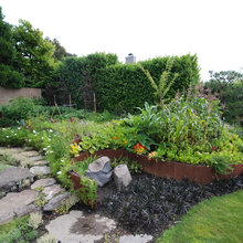 Front yard garden