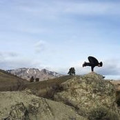 Elvis Garcia's photo