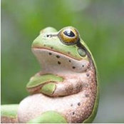 Dwane Sandoval's photo