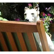 Foto von Jackie Quinn