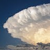 Hugh Phillips's photo