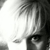Sharon Knights foto