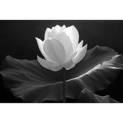 Laura Dodds-Byrne's photo