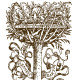 Heaven & Earth Landscape Design