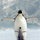 angelfish8