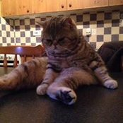 Deirdre Woods's photo