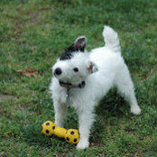 kathleen haddon's photo