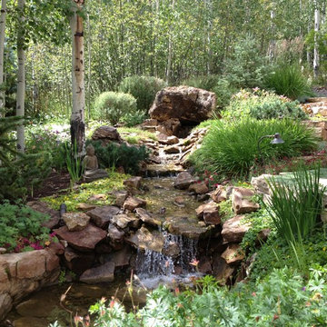 Stream Bed