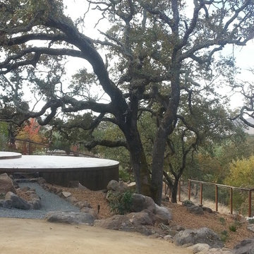 Oak canopy providing structure for the space