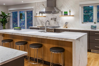 Eat-in kitchen - large contemporary u-shaped eat-in kitchen idea in Baltimore with flat-panel cabinets, gray cabinets and an island