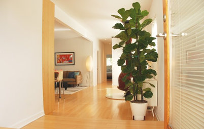 My Houzz: Airy Update With Midcentury Appeal for a California Home