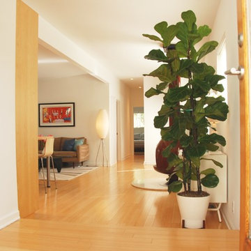 My Houzz: Airy Update With Midcentury Appeal for a California Home