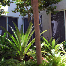 Landscape Ideas