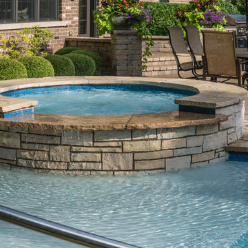 Elmhurst, IL Freeform Swimming Pool and Raised Spa