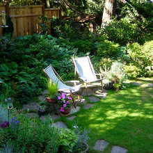 Yard Plants