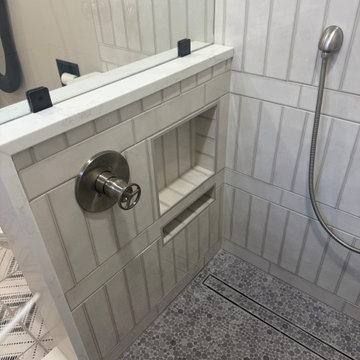 Johns Creek Tub to Shower Conversion Hall Bath