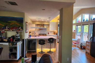 Mid-sized trendy home design photo in San Francisco