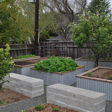yard redesign