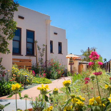 North Park Eclectic Landscape