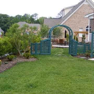 New Home, Backyard from scratch