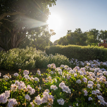 Rancho Santa Fe, Parterre Gardens