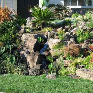 Ponds & Waterfalls from Treasure Valley Water Gardens