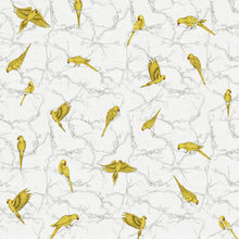 CHair fabric