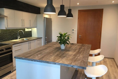 Inspiration for a modern home design remodel in Other
