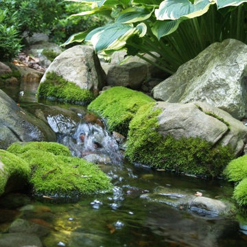Ponds