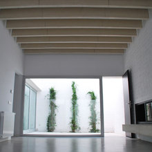 Patio interior