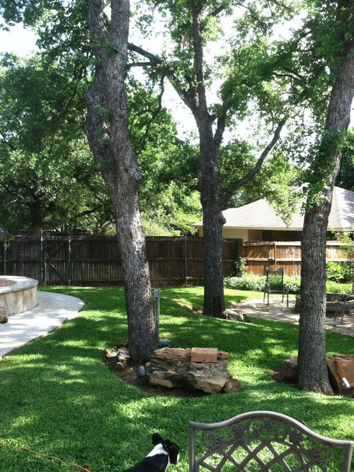 Trumpet Vine or CrossVine