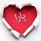 Noha Salama's photo
