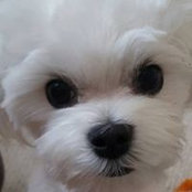 Marilyn Taylor's photo