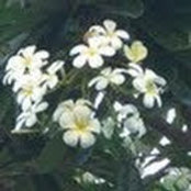 Staci George's photo