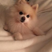 Cyndi Wilkinson's photo