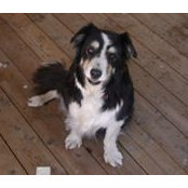 William Gerber Jr.'s photo