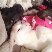 Shami Raeves's photo