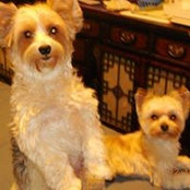 Lila Duffin's photo