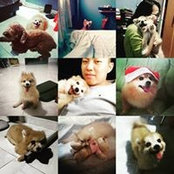 Foto di Lee San