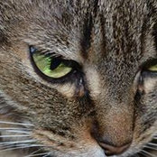 Donna Cwiak's photo