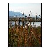 Ellyn Cauble's photo