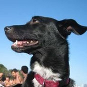 James Porter's photo